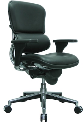 Raynor Eurotech Leather Mid Back Ergo human Chair, Black