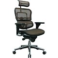 Raynor Eurotech Ergo human High Back Managers Chair, with Headrest and Mesh, Orange