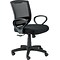 Raynor Eurotech Fabric/Mesh Maze Task Chair, Black