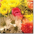 Trademark Global Amy Vangsgard Spring Bouquet Canvas Art, 35 x 35