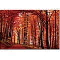 Trademark Global Philippe Sainte Laudy The Red Way Canvas Art, 22 x 32