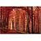 Trademark Global Philippe Sainte Laudy The Red Way Canvas Art, 22 x 32