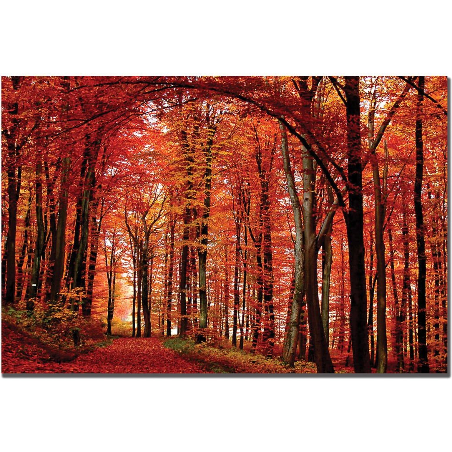 Trademark Global Philippe Sainte Laudy The Red Way Canvas Art, 22 x 32