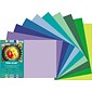 Tru-Ray 12" x 18" Construction Paper, Assorted Colors, (P102943)