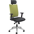 Safco Tez Fabric Computer and Desk Chair, Black/Wasabi (7030WA)