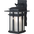 Kenroy Home Carrington 1 Light Small Wall Lantern; Black Finish