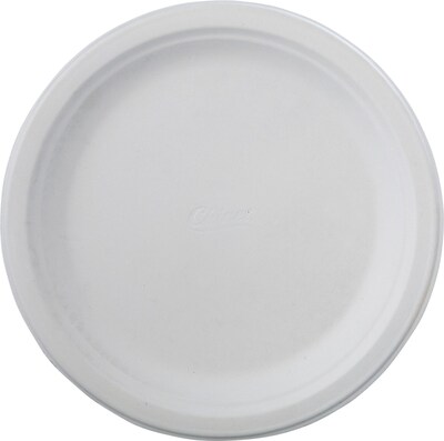 Chinet® Classic White™ VAPOR Dinnerware Plate, 9 3/4"(Dia), White, 500/PK