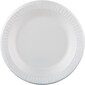 Dart® Quiet Classic® Foam Plates 10.25", White, 500/Pack (10PWQ)