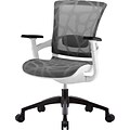 Skate Motion Ergonomic Executive Chair with White Frame, Mesh, Grey, Seat: 19.29W x 16.93D, Back: 18.5W x 20.67H