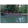 Trademark Global Clydesdales on Green Pond Canvas Art, 16 x 24