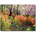 Trademark Global David Glover Magic Flower Forest Canvas Art, 24 x 32