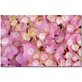 Trademark Global Kathie McCurdy Pink Hydrangea Canvas Art, 16 x 24