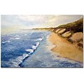 Trademark Global Michelle Calkins Lake Michigan Whitecaps Canvas Art, 35 x 47