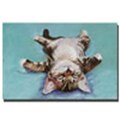 Trademark Global Pat Saunders White Little Napper Canvas Art, 16 x 24