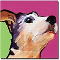 Trademark Global Pat Saunders White Ollie Canvas Art, 24 x 24