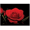 Trademark Global Patty Tuggle Red Velvet Canvas Art, 18 x 24