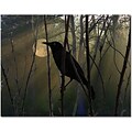 Trademark Global Patty Tuggle Nevermore Night and Day Canvas Art, 14 x 19