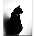 Trademark Global Tammy Davison Chat Noir Canvas Art, 24 x 18
