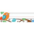 Carson-Dellosa Boho Birds Nameplates