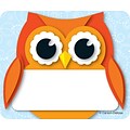 Carson-Dellosa Colorful Owl Name Tags, 40
