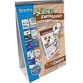 NewPath Learning 18H x 12W Curriculum Mastery Learning Flip Chart Set, Earth Science (NP-346008)