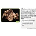 Edupress™ Science Reading Comprehension Cards; Rocks & Minerals