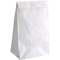Hygloss Craft Paper Bag, 11 x 6, White Gusseted 100/Pack, 2 Packs/Bundle (HYG66101)