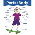 Parts Of The Body  Basic Skills Chart