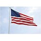 Flagzone Durawavez Nylon Outdoor U.S. Flag with Heading & Grommets, 4' x 6' (FZ-1002091)