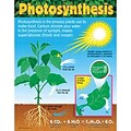 Trend® Learning Charts, Photosynthesis