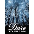Trend® Educational Classroom Posters, Dare to Dream (T-A67249)
