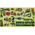 Teachers Friend Mini Bulletin Board Sets; Rainforest Plants & Animals