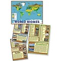 Edupress® Bulletin Board Set, World Biomes