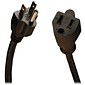 Tripp Lite SJT Power Extension Cord; 18 AWG; 25 ft (L)