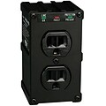 Tripp Lite Isobar® Series 2-Outlet Surge Suppressor