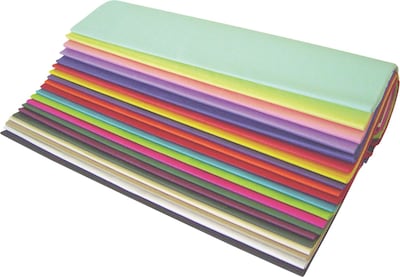 BOX 20 x 30 Popular Tissue Paper Assortment Pack, 480 Sheets