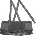 Ergodyne® ProFlex® Economy Back Support, Black, Small, 1 Each (150-11382)