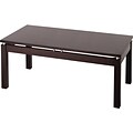 Winsome Linea 16.22 x 39.37 x 19.68 Wood Coffee Table With Chrome Accent, Dark Espresso