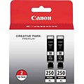 Canon 250XL Black High Yield Ink Cartridge, 2/Pack (6432B004)