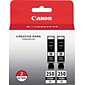 Canon 250XL Black High Yield Ink Cartridge, 2/Pack (6432B004)