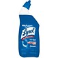 Lysol Disinfectant Toilet Bowl Cleaner, Wintergreen Scent, Liquid, 24 Oz.