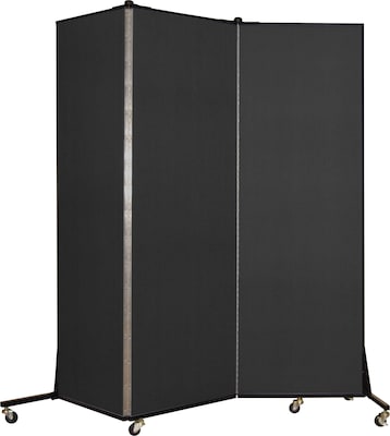 Screenflex® Light-Duty Portable Room Dividers; 65H x 59W, Charcoal Black