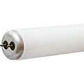 GE® 40 Watts T12 Active Spaces Fluorescent Bulb, Daylight, 2/Pack