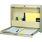 Datum WallWrite® Fold-Up Desk; Standard with Lock, Bone White