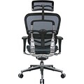 Raynor Eurotech Ergo human High Back Managers Chair, with Headrest and Mesh, Blue