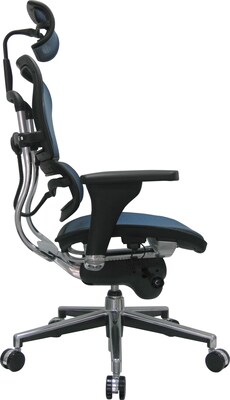 Raynor Eurotech Ergo human High Back Managers Chair, with Headrest and Mesh, Blue