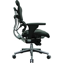 Raynor Eurotech Mesh/Leather Mid Back Ergo human Chair, Black