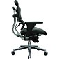 Raynor Eurotech Mesh/Leather Mid Back Ergo human Chair, Black