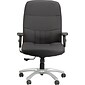 Raynor Eurotech Excelsior Fabric Big and Tall Manager's Chair, Black (BM90000-BLK)