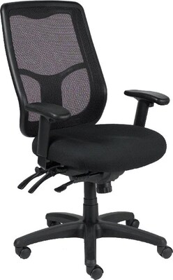 Raynor Eurotech Apollo Mesh High-Back Task Chair, Black, Adjustable Arms (MFHB9SL)
